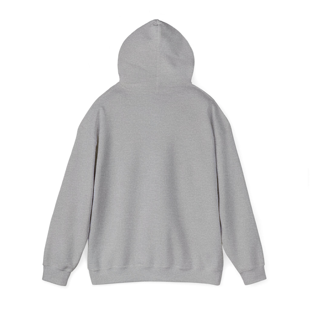 Eagles New Diana Hoodie — Vintage Varsity Stripe School Spirit Sweatshirt