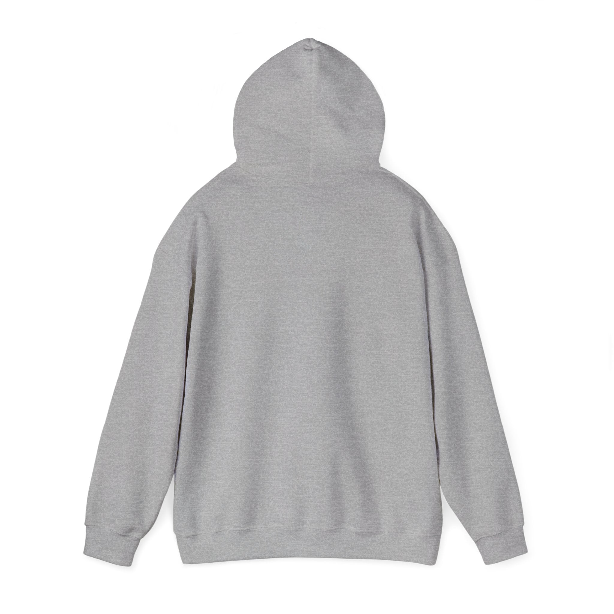 Eagles New Diana Hoodie — Vintage Varsity Stripe School Spirit Sweatshirt