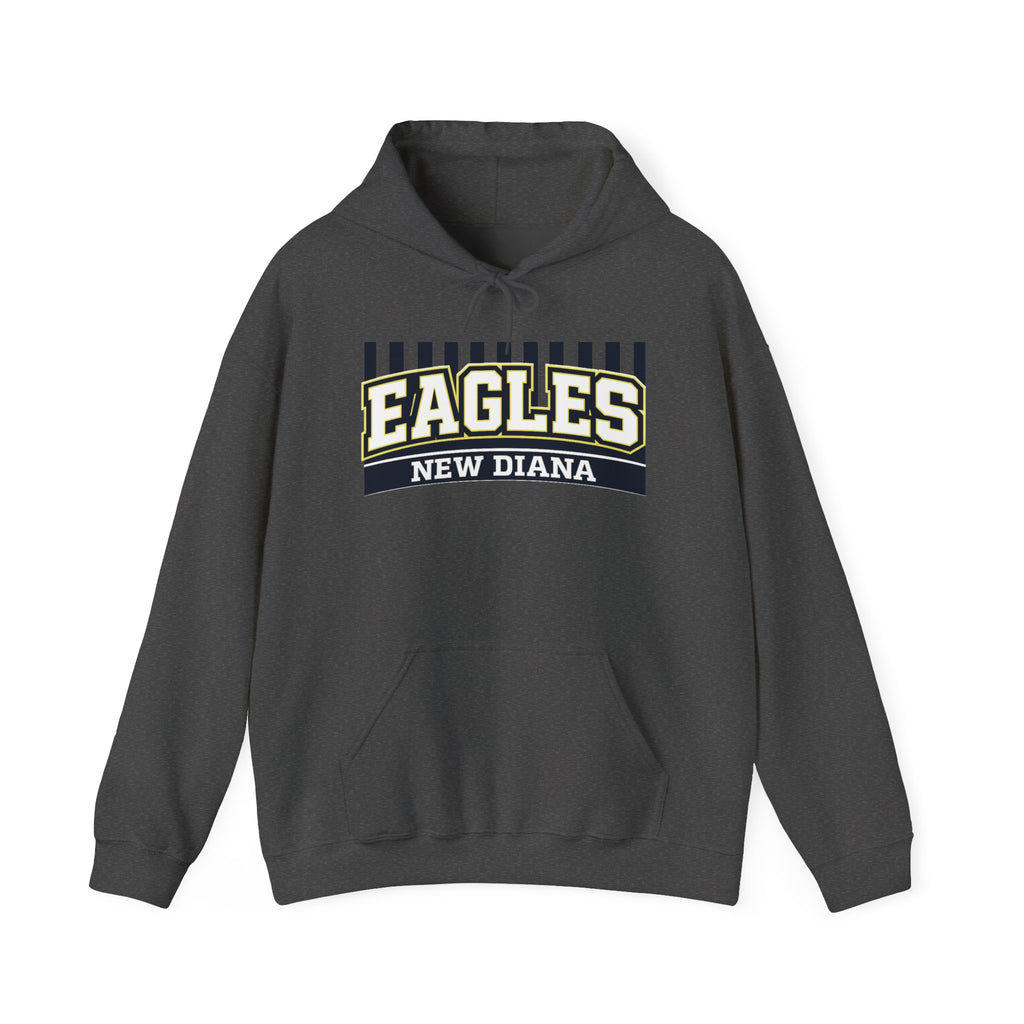 Eagles New Diana Hoodie — Vintage Varsity Stripe School Spirit Sweatshirt