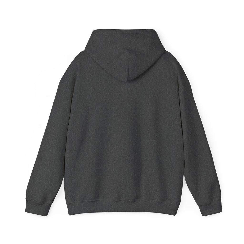 Eagles New Diana Hoodie — Vintage Varsity Stripe School Spirit Sweatshirt