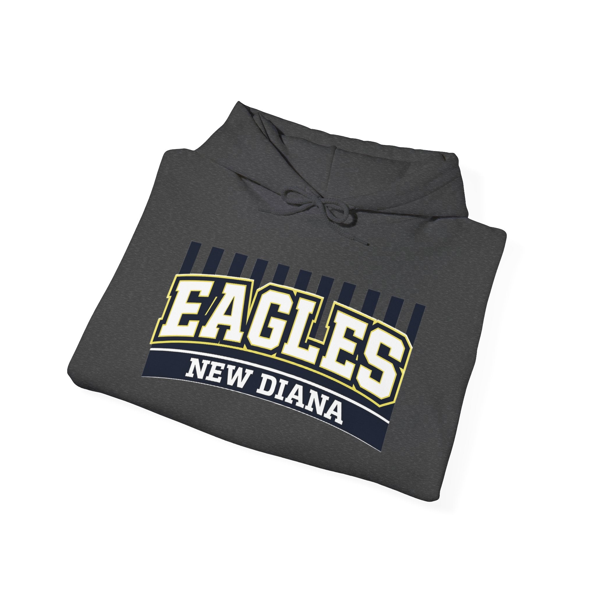 Eagles New Diana Hoodie — Vintage Varsity Stripe School Spirit Sweatshirt