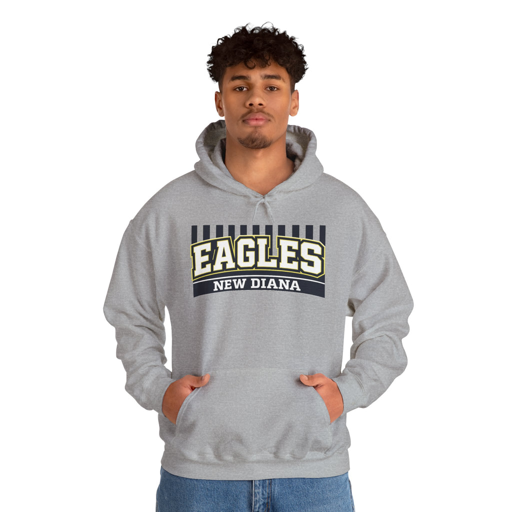Eagles New Diana Hoodie — Vintage Varsity Stripe School Spirit Sweatshirt