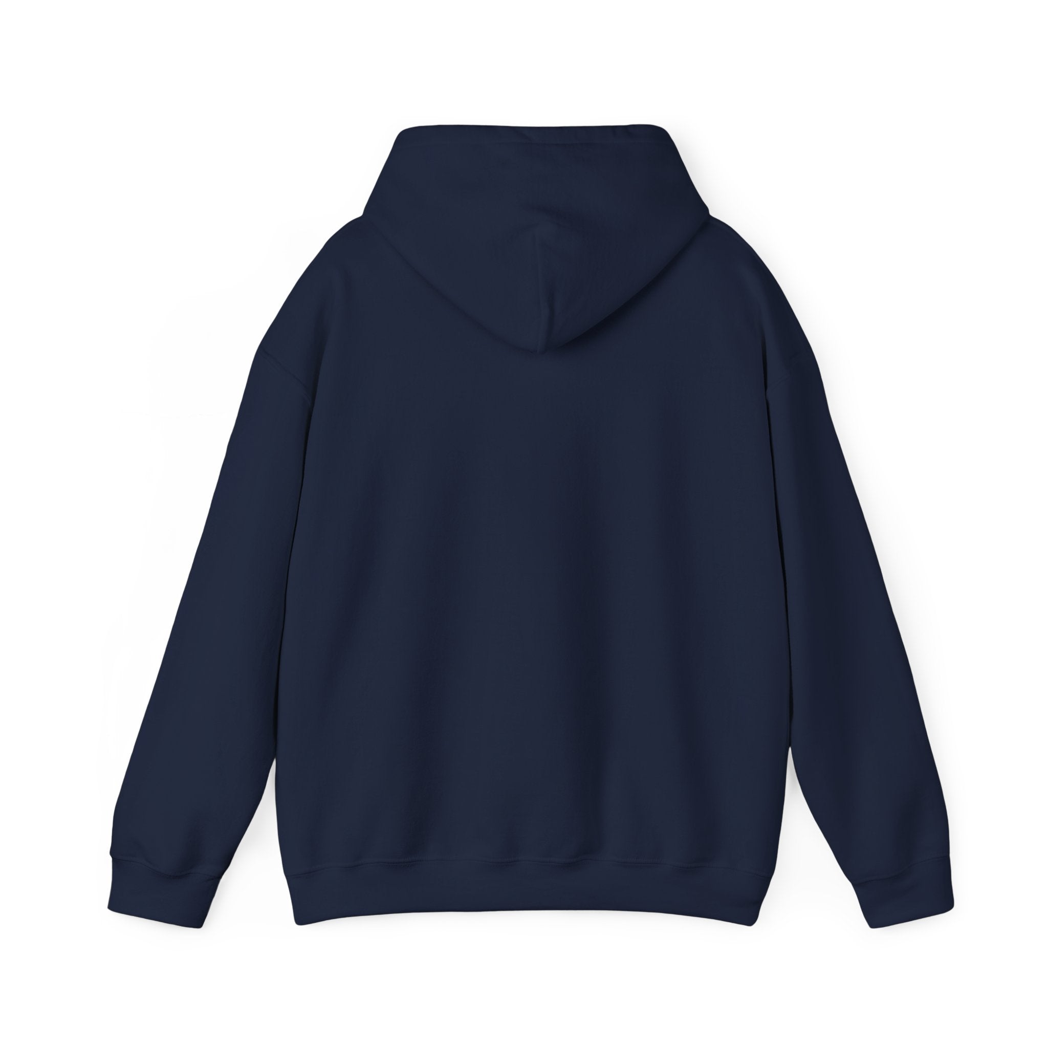 Eagles New Diana Hoodie — Vintage Varsity Stripe School Spirit Sweatshirt
