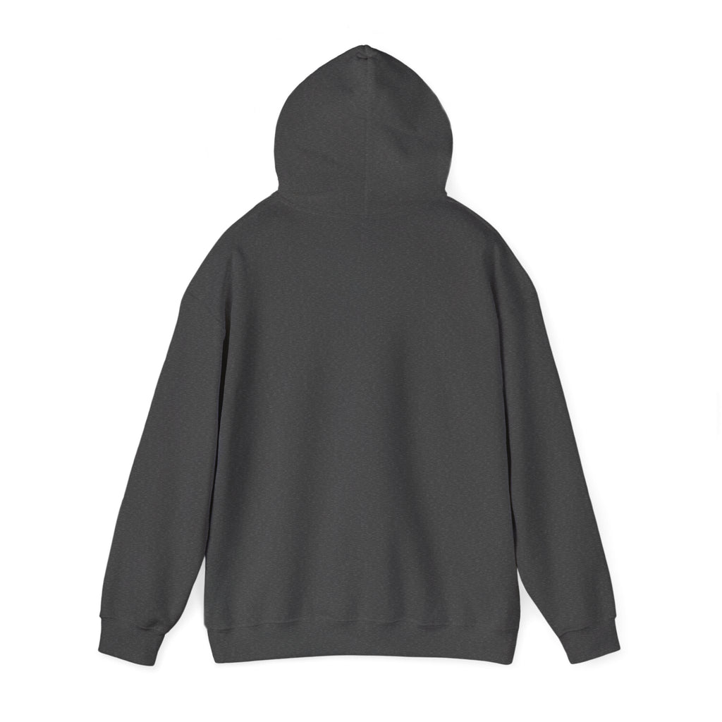 Eagles New Diana Hoodie — Vintage Varsity Stripe School Spirit Sweatshirt