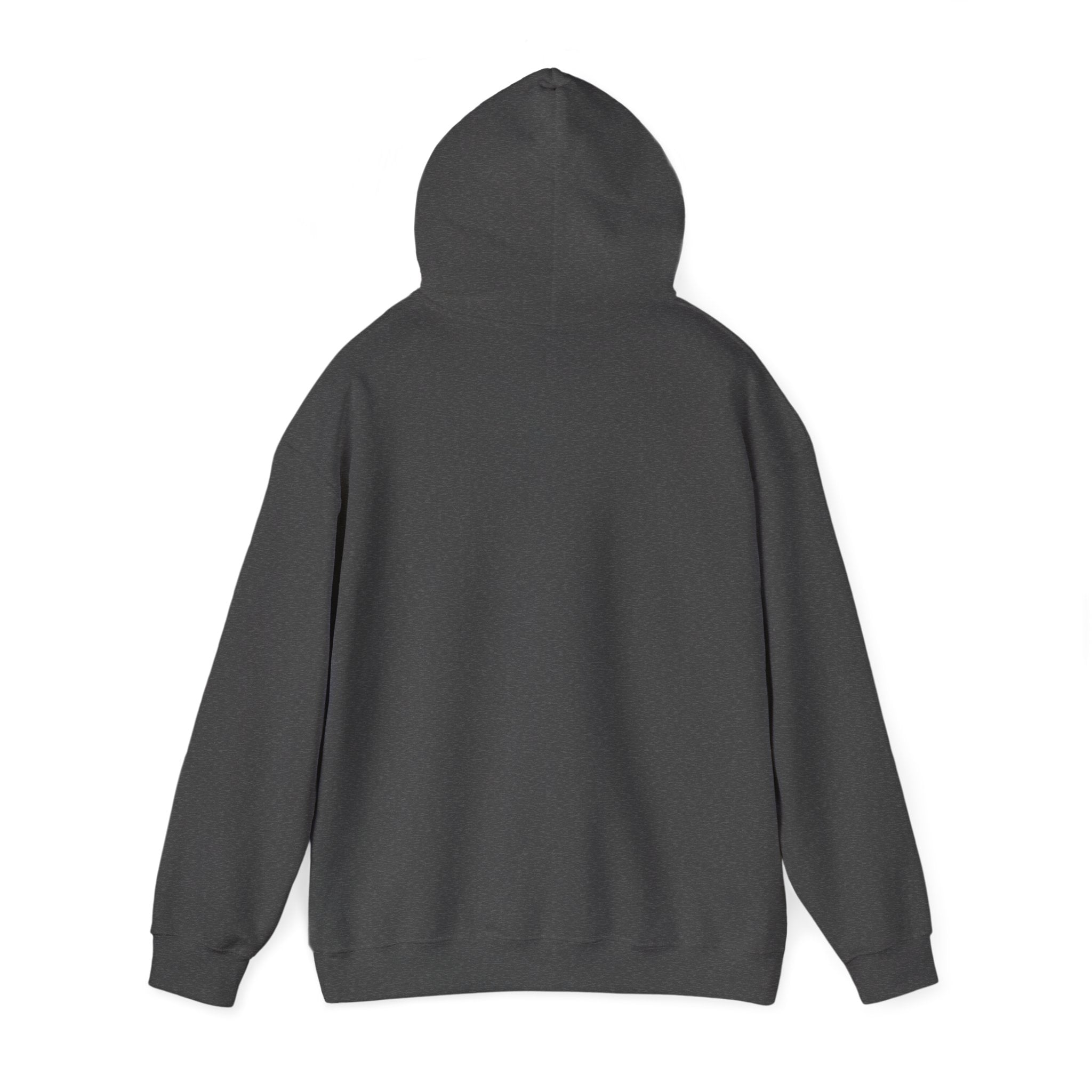 Eagles New Diana Hoodie — Vintage Varsity Stripe School Spirit Sweatshirt