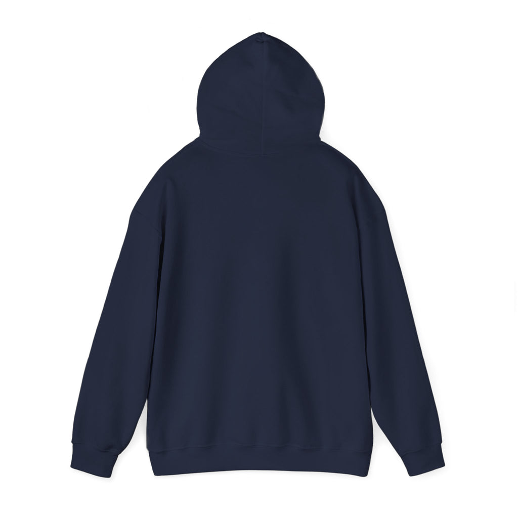 Eagles New Diana Hoodie — Vintage Varsity Stripe School Spirit Sweatshirt