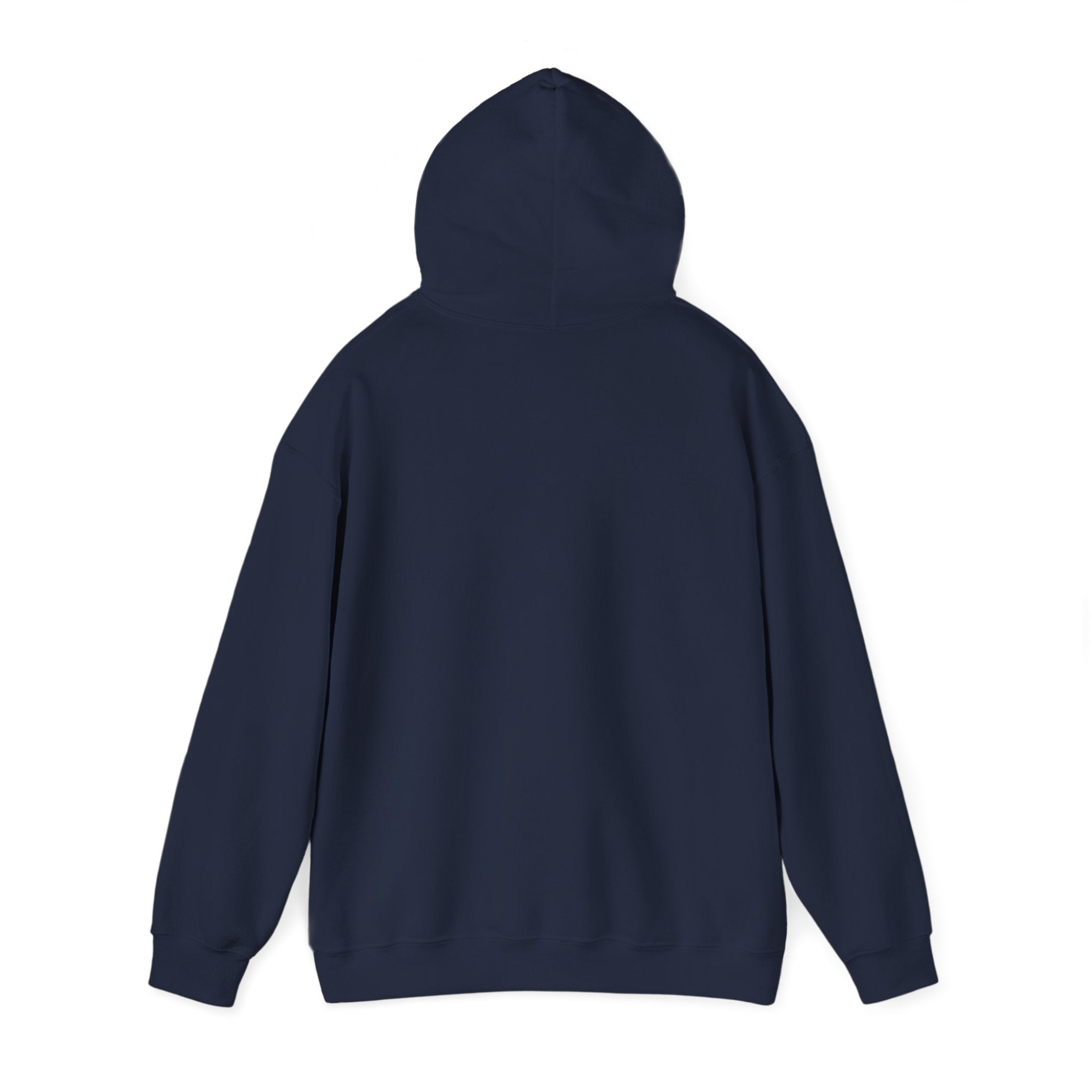 Eagles New Diana Hoodie — Vintage Varsity Stripe School Spirit Sweatshirt