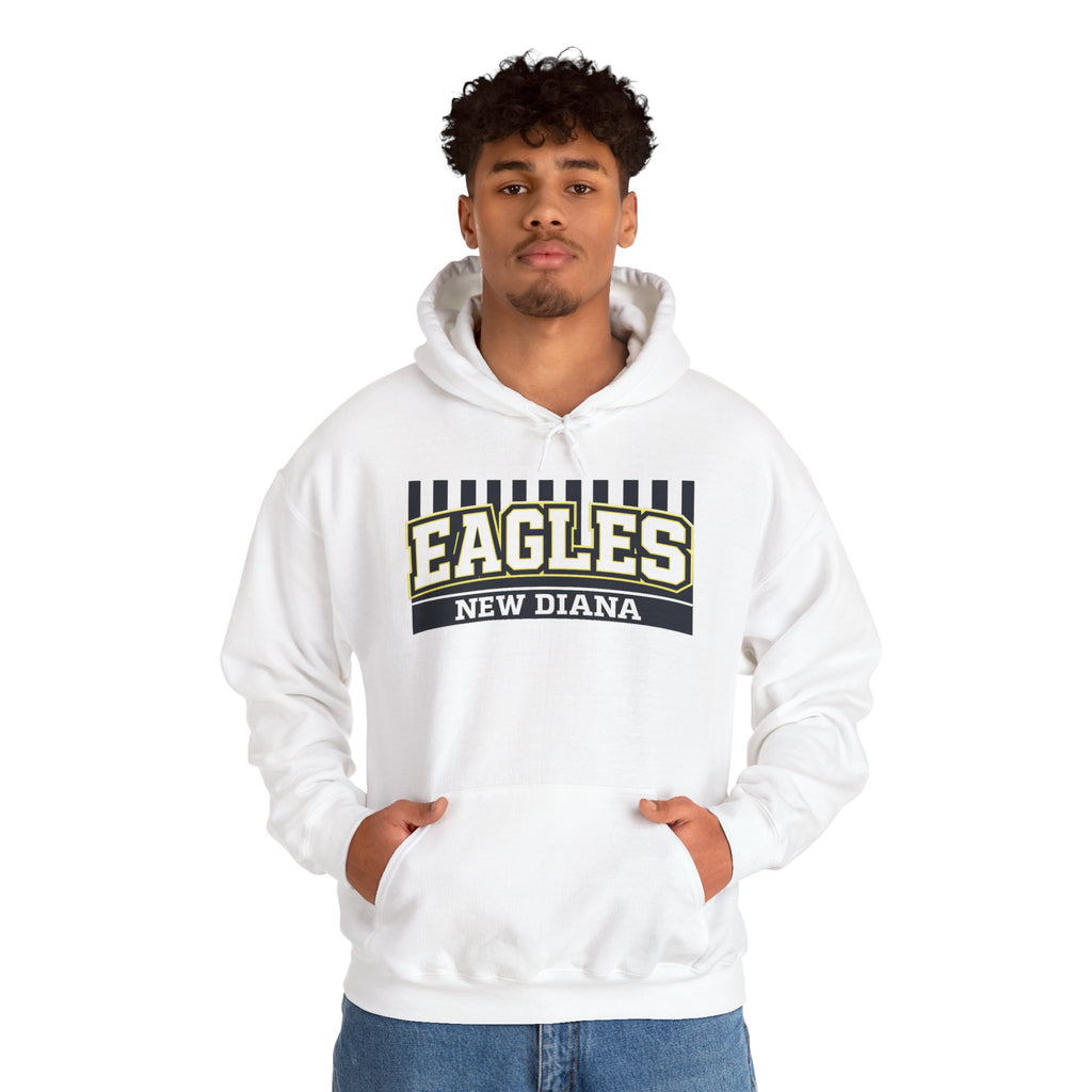 Eagles New Diana Hoodie — Vintage Varsity Stripe School Spirit Sweatshirt