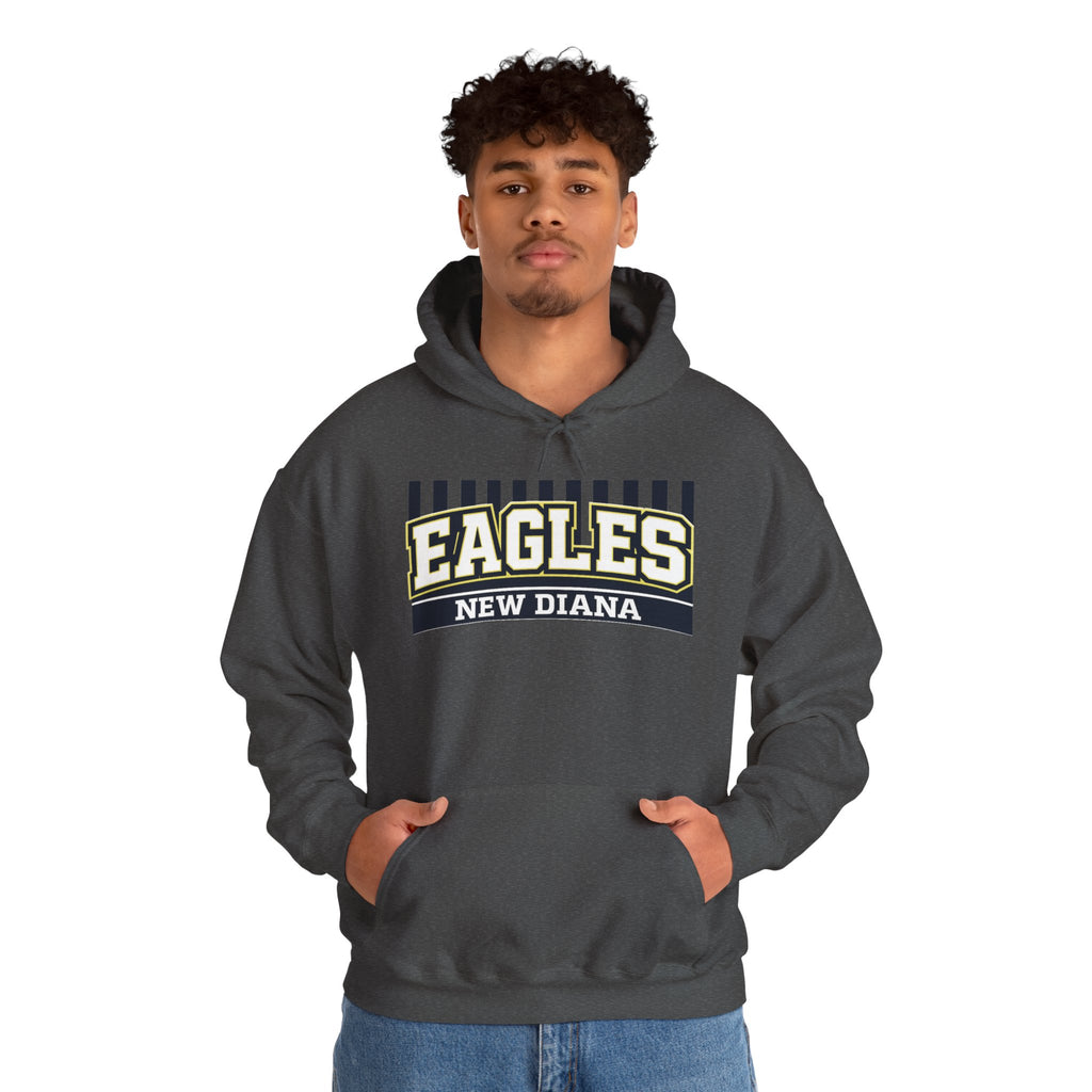 Eagles New Diana Hoodie — Vintage Varsity Stripe School Spirit Sweatshirt