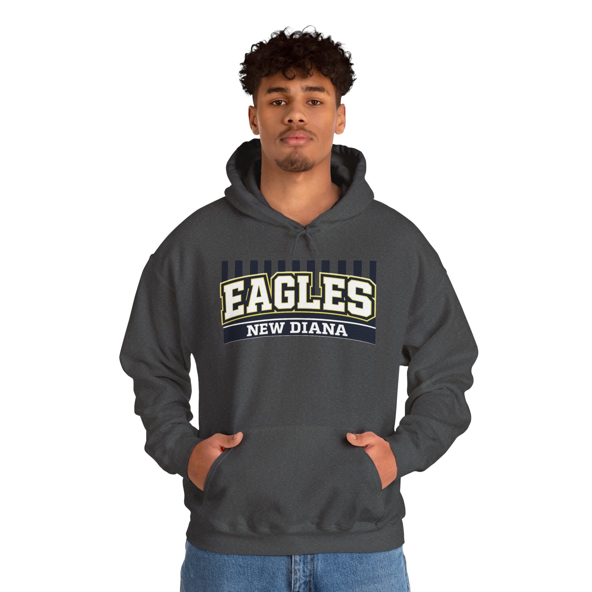 Eagles New Diana Hoodie — Vintage Varsity Stripe School Spirit Sweatshirt