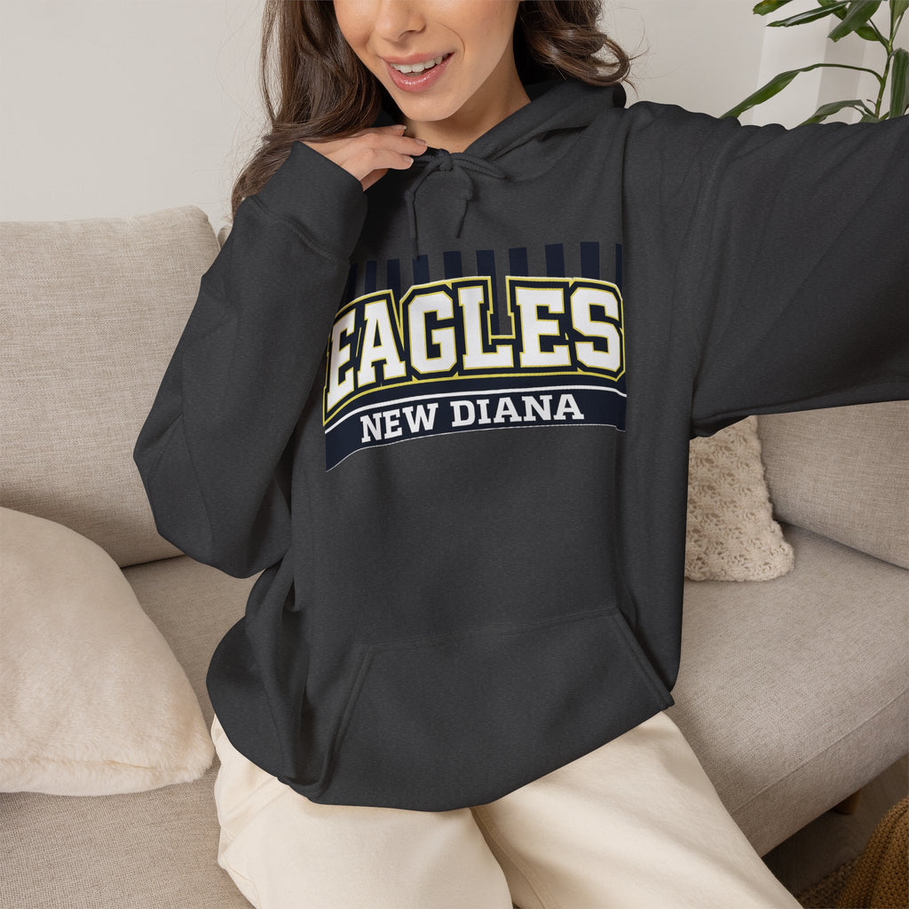 Eagles New Diana Hoodie — Vintage Varsity Stripe School Spirit Sweatshirt